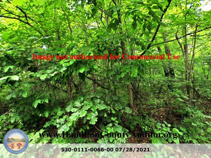Photo 07/28/2021